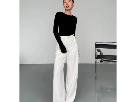 Wide-leg High-rise Pleated Pants For Discount