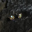 Zircon Colourful Sterling Earrings Fashion