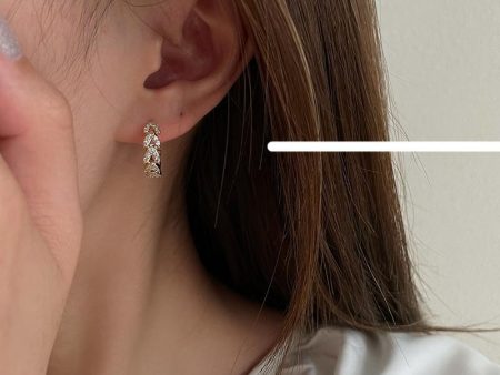 Zircon Wheat Earrings For Cheap