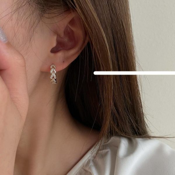 Zircon Wheat Earrings For Cheap